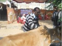  Infertility and Veterinary Camp