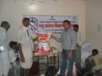  Feed support to Heifer at Ganeshpura Center in Chittorgarh District             