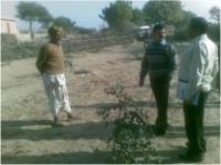  District Collector ( Shri Ravi Jain) inspecting Sh Sawai Singh's wadi in Ranigoan